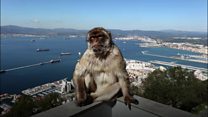 Why Gibraltar is British - in 60 secs
