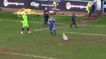 Dog's pitch invasion halts football game
