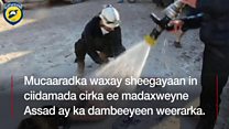 Xasuuqii Suuriya