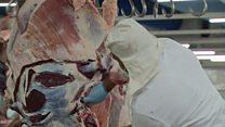Firms hit in India meat crackdown