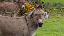 Your pictures on BBC News NI