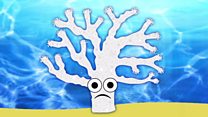 How does coral become bleached?