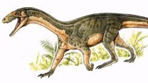 Croc-like creature came before dinosaurs