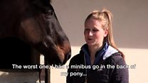 Rise in horse and vehicle incidents
