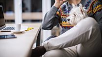 Fancy taking your dog to work?