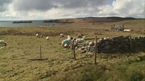 Dragh mu chion taic do dh'fhèoil uan Albannach