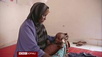 Daawo: 500 oo qof oo daacun ugu dhimatay Soomaaliya tan iyo bishii January