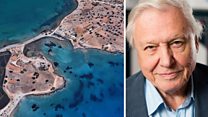 Revamped Google Earth adds Attenborough