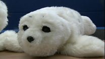 Robot seal helps dementia patients