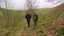Farmer excited about reconnecting woodland