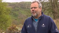 Rory Francis o Coed Cadw yn esbonio eu cynlluniau ar gyfer y mynydd