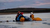 Volunteers refloat stranded whale