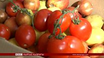 Ысырапкорчулукка каршы күрөш