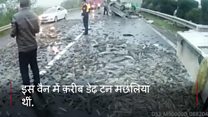 सड़क पर मछलियां
