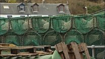 Iasach na h-Alba a' coimhead ri Nirribhidh?