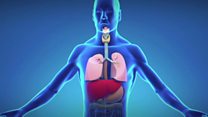آزمایش خون، راهی تازه در تشخیص برگشت سرطان ریه