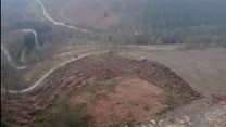 Replacing a forest hit by disease