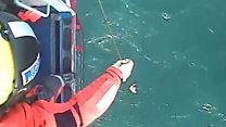 Surfer survives 32 hours at sea