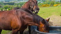 Your pictures on BBC News NI