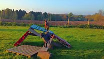 BBC News NI pictures of the week