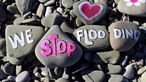 Gardeners told to stop pinching pebbles