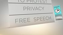Pirates want online and offline freedoms