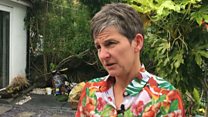 Seddi Laura i'w gwylio: Plaid Cymru