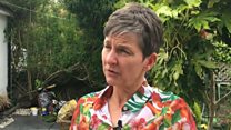 Seddi Laura i'w gwylio: UKIP