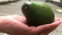 'Avocado hand' health warning