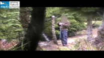 Video shows man allegedly 'setting illegal trap'