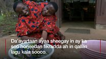 Daawo nolosha mataano 19 sano isku dhagganaa