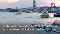 Arddangos celf Cymro i'r byd yn Fenis