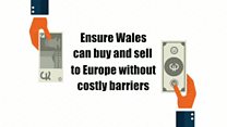 Plaid Cymru manifesto: Main points