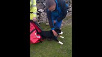 Sheepdog rescued from Unst cliff face