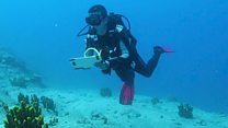 'Fish loved me but people didn't'