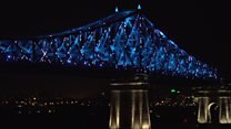 The Living Bridge