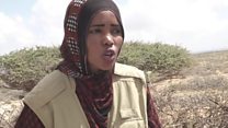 The women saving Somalia's animals