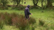 Farming on the border