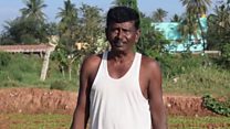 Farming with polluted water in Bangalore