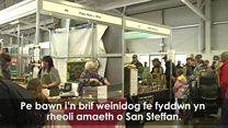 Fy Maniffesto yn y Fafir Wanwyn