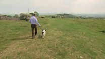 One Liberal Democrat leader and his dog