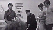 When John Noakes met Lulu the elephant