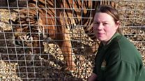 Aerial shots show zoo-keeper death park