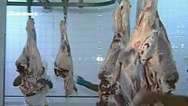 ابتلای دست کم ۲۸ نفر به تب کریمه کنگو در ایران
