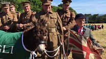 Guernsey's military donkey