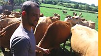 Why this globetrotting young farmer came home