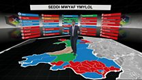 Seddi ymylol: Democratiaid Rhyddfrydol