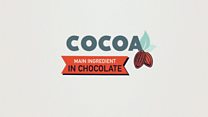 Half the world's cocoa comes from two countries