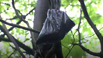Watch: A plague of poo bags in London's beauty spots