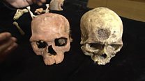 Найдены самые древние останки Homo sapiens